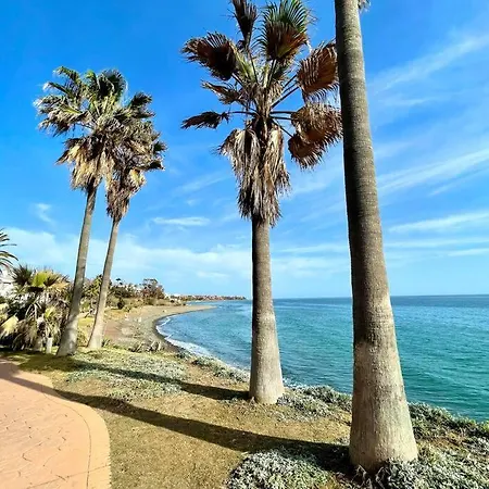 Daire Blue Palm