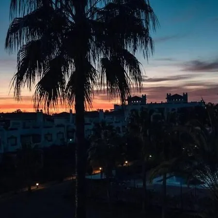 Blue Palm